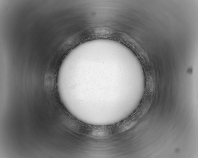 X0000101980705200808151401