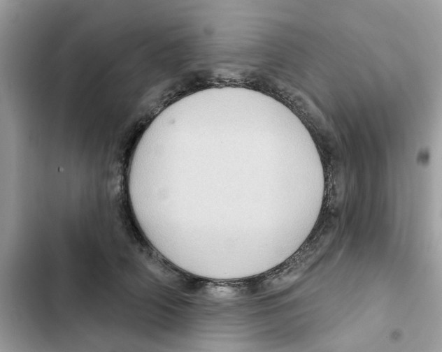 X0000101980706200808151401