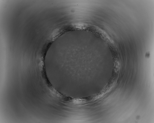 X0000101980707200808151401