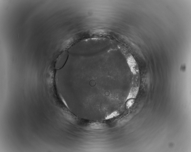 X0000101980708200808151401