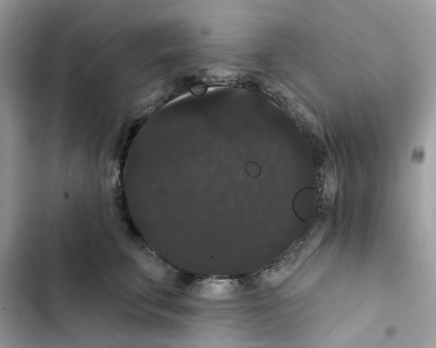 X0000101980711200808151401