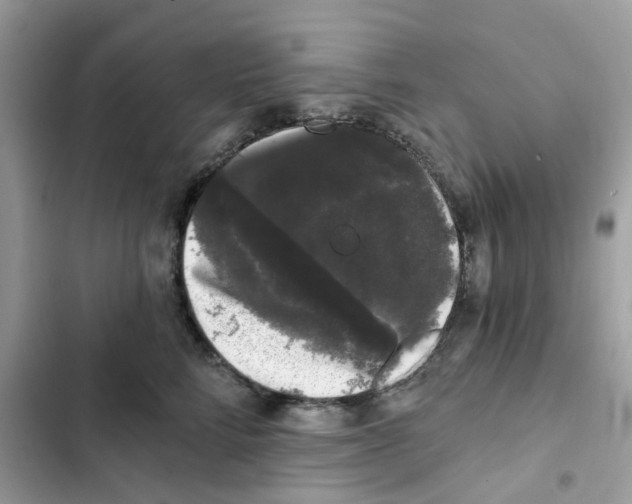 X0000101980712200808151401