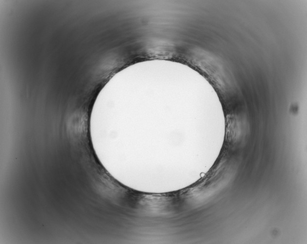 X0000101980713200808151401