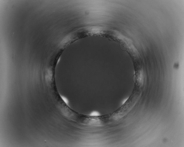 X0000101980715200808151401