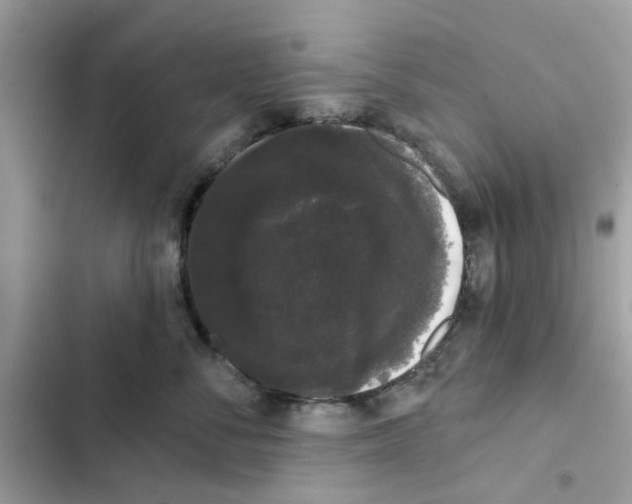 X0000101980716200808151401