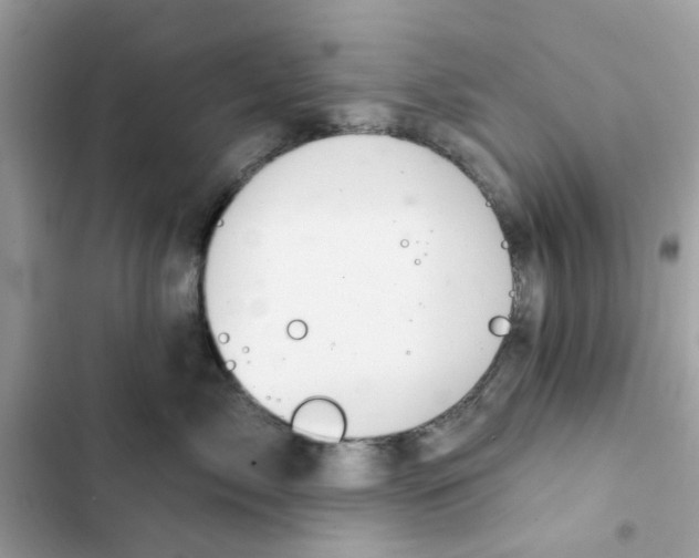 X0000101980717200808151401