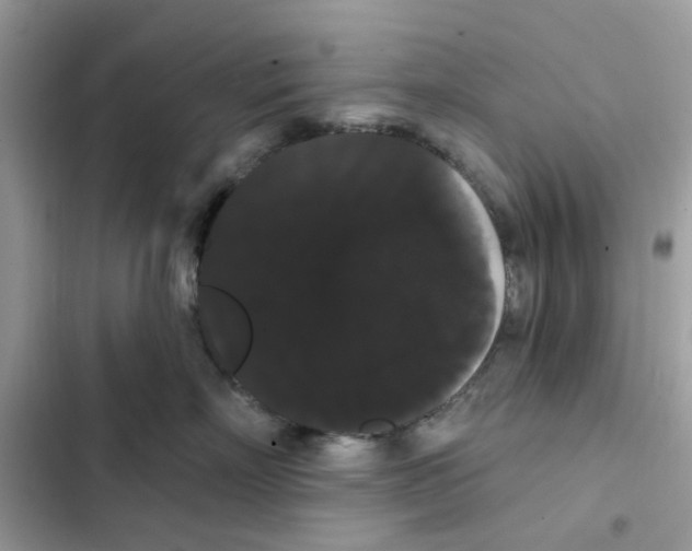 X0000101980718200808151401