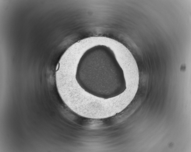 X0000101980719200808151401