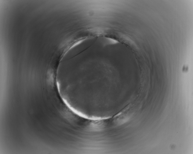 X0000101980720200808151401