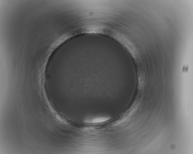 X0000101980721200808151400