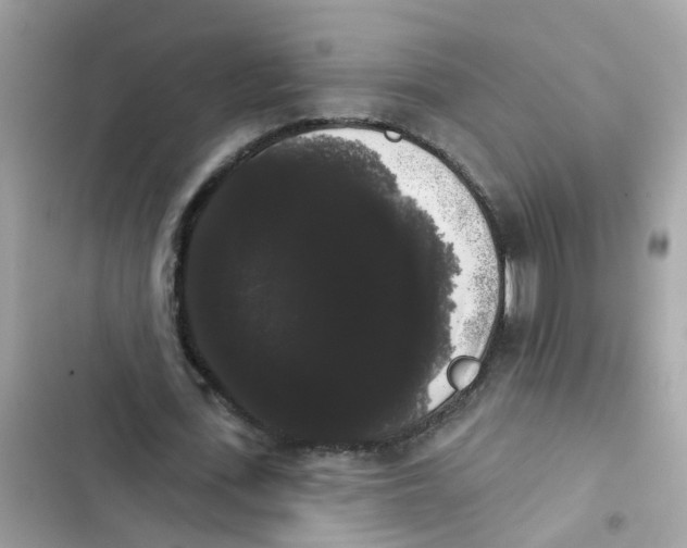 X0000101980723200808151400