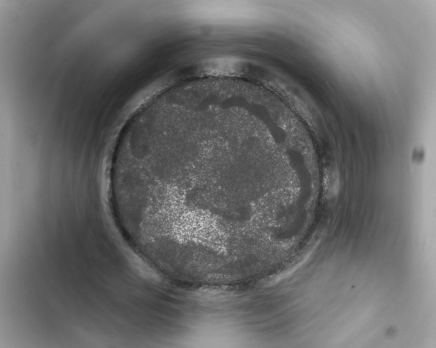 X0000101980725200808151400