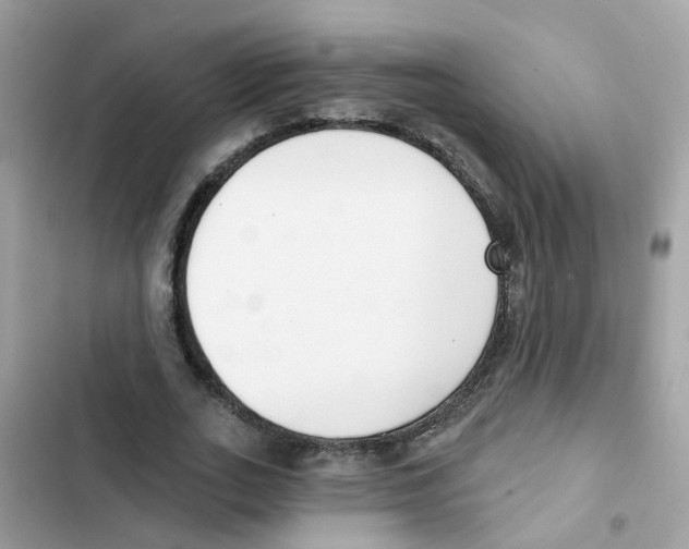 X0000101980727200808151400