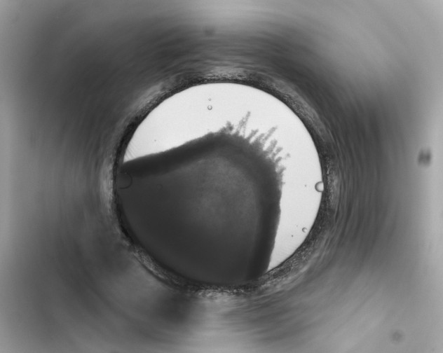 X0000101980729200808151400