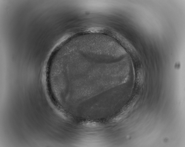 X0000101980730200808151400