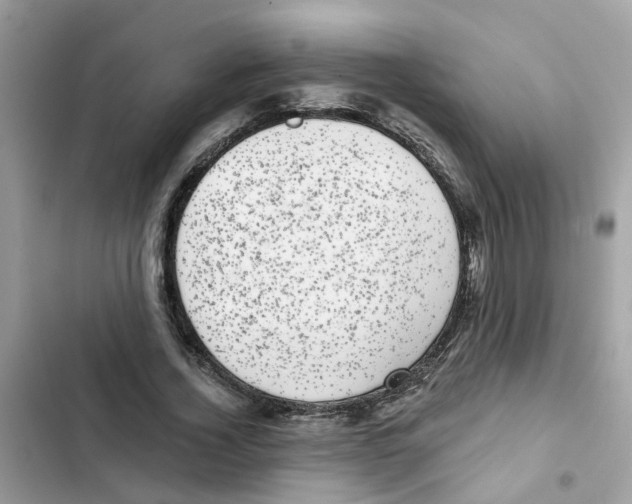 X0000101980732200808151400