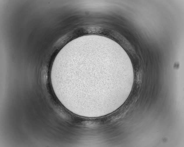 X0000101980733200808151400