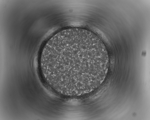 X0000101980734200808151400