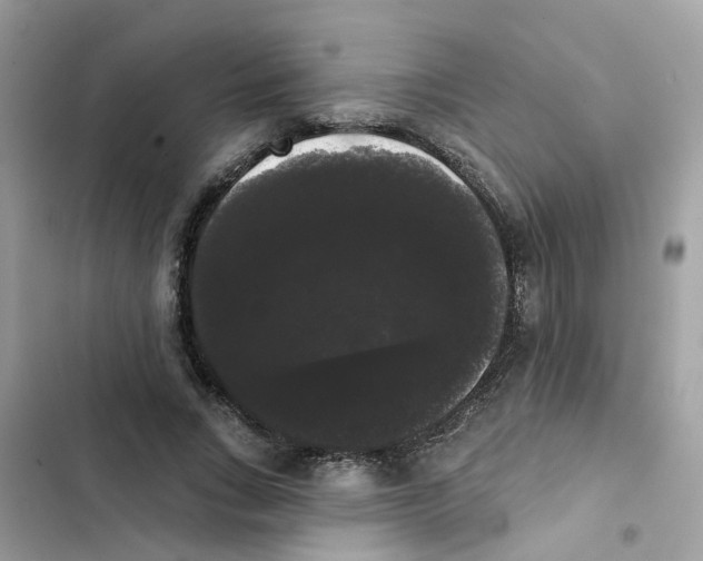 X0000101980735200808151400