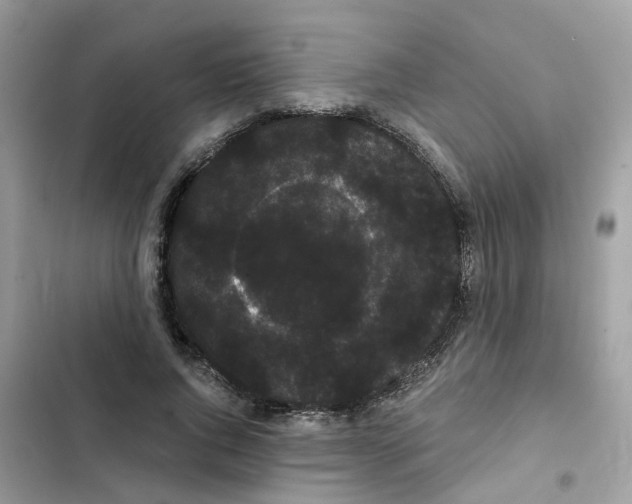 X0000101980736200808151400