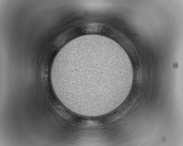 X0000101980737200808151400