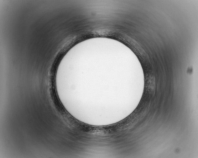 X0000101980738200808151400