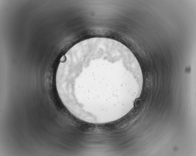 X0000101980739200808151400