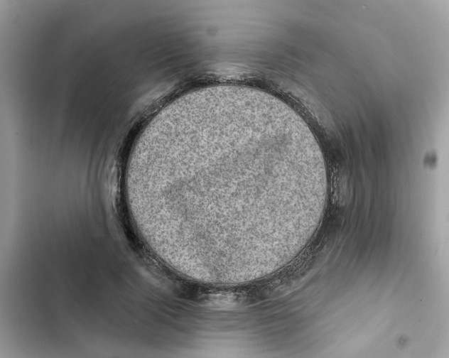 X0000101980740200808151400