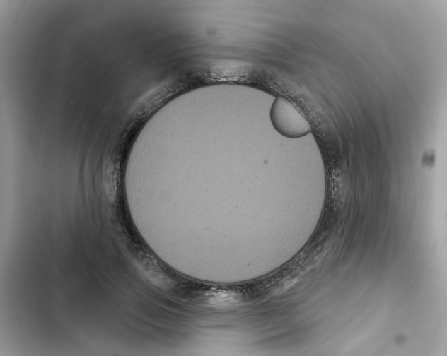 X0000101980741200808151400