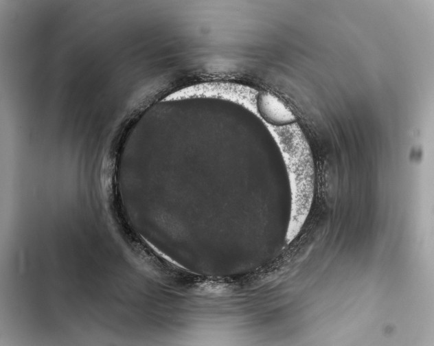 X0000101980742200808151400