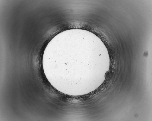 X0000101980743200808151401