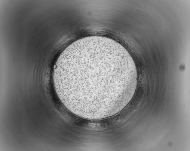 X0000101980744200808151401