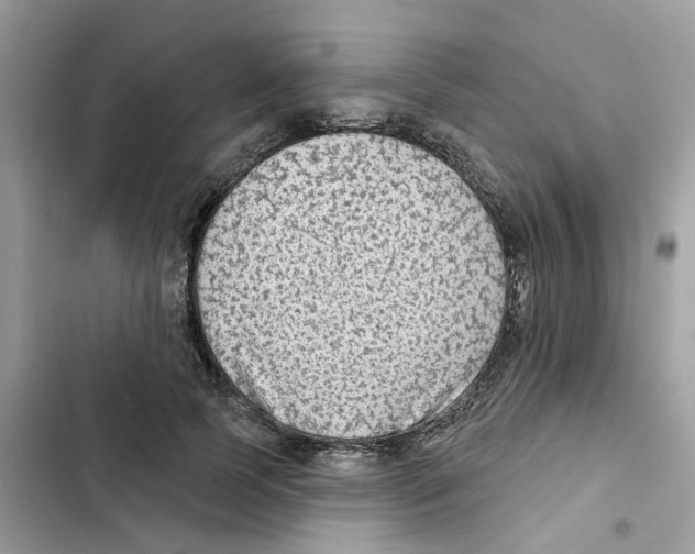 X0000101980745200808151401