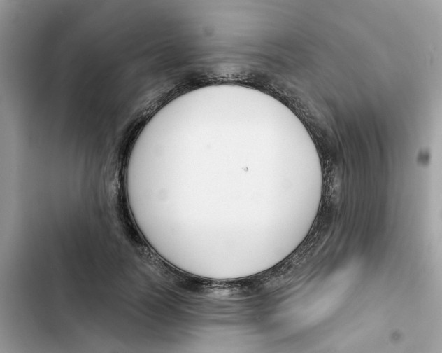 X0000101980746200808151401