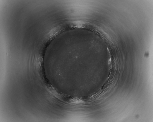 X0000101980747200808151401