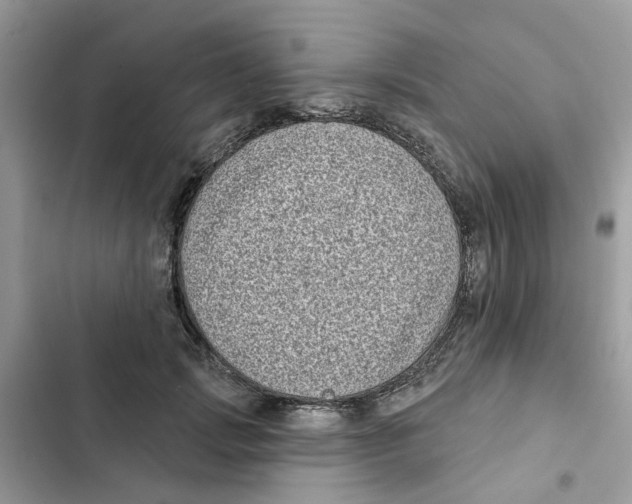 X0000101980749200808151401