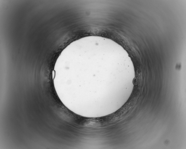 X0000101980750200808151401