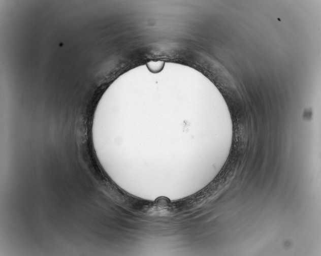 X0000101980751200808151401