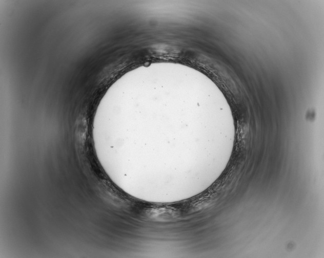 X0000101980752200808151401