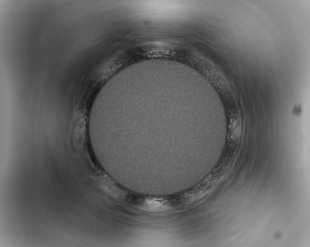 X0000101980753200808151401