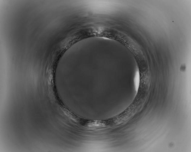 X0000101980754200808151401