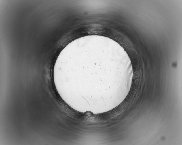 X0000101980755200808151401