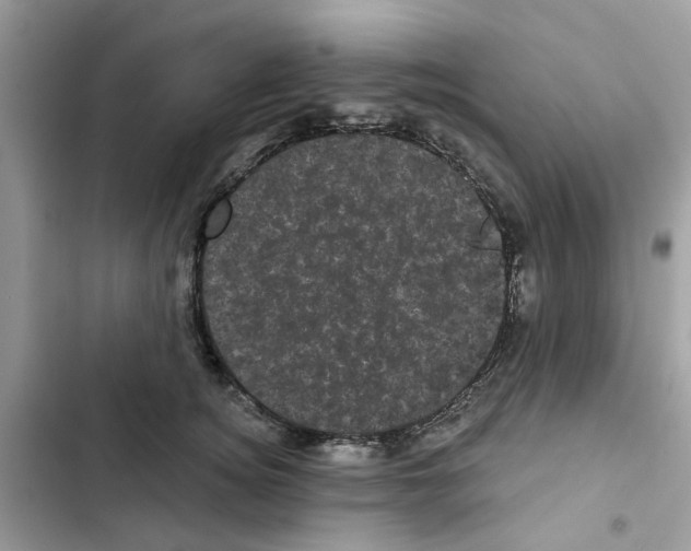 X0000101980756200808151401