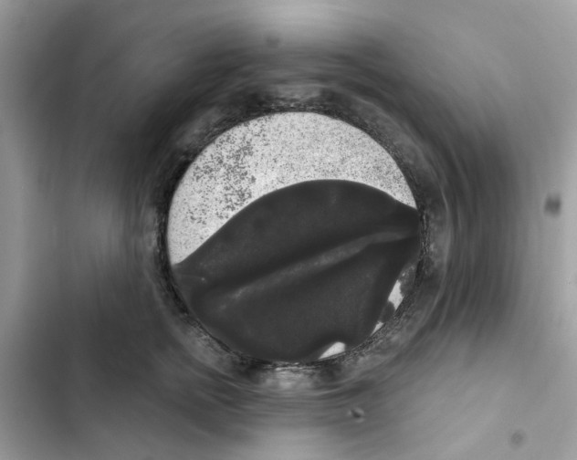 X0000101980758200808151401