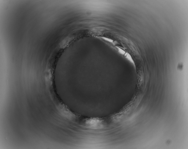 X0000101980759200808151401