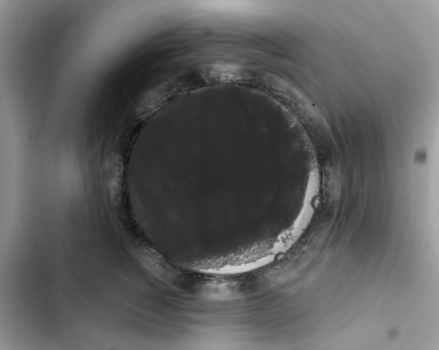 X0000101980760200808151401