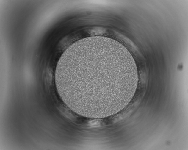 X0000101980761200808151401