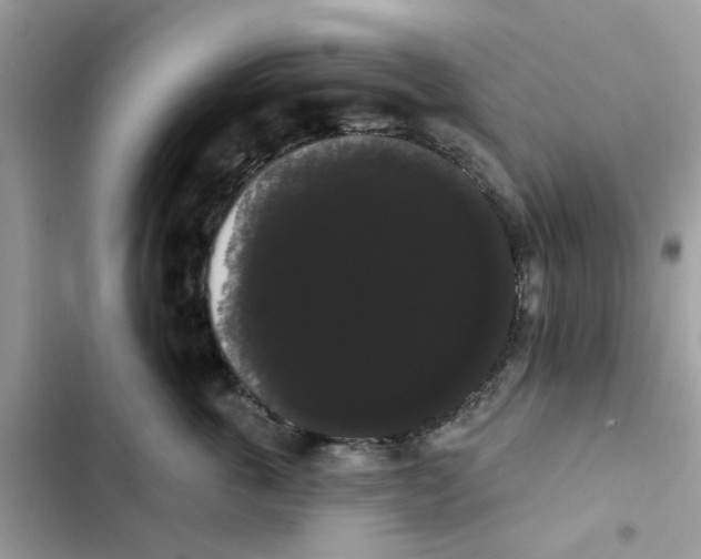 X0000101980763200808151401