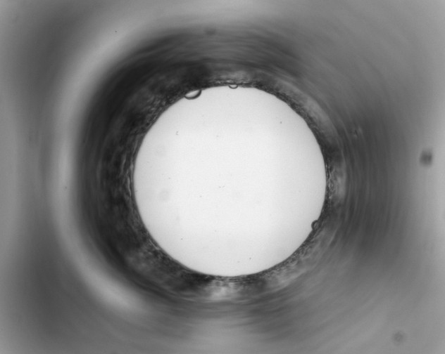 X0000101980764200808151401