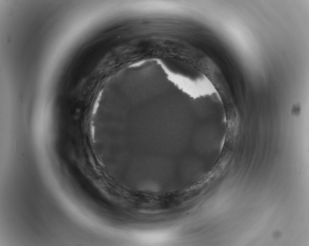 X0000101980765200808151401